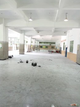 自然门学校