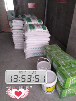 石狮世茂1602施总