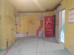 中源领第2-3-2408