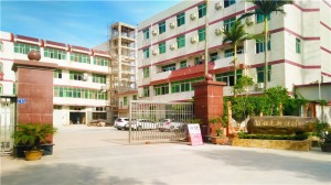 公司介绍