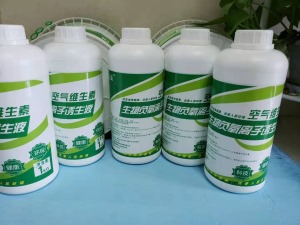 公司介绍